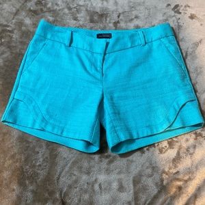 Bright Tropical Blue Shorts
